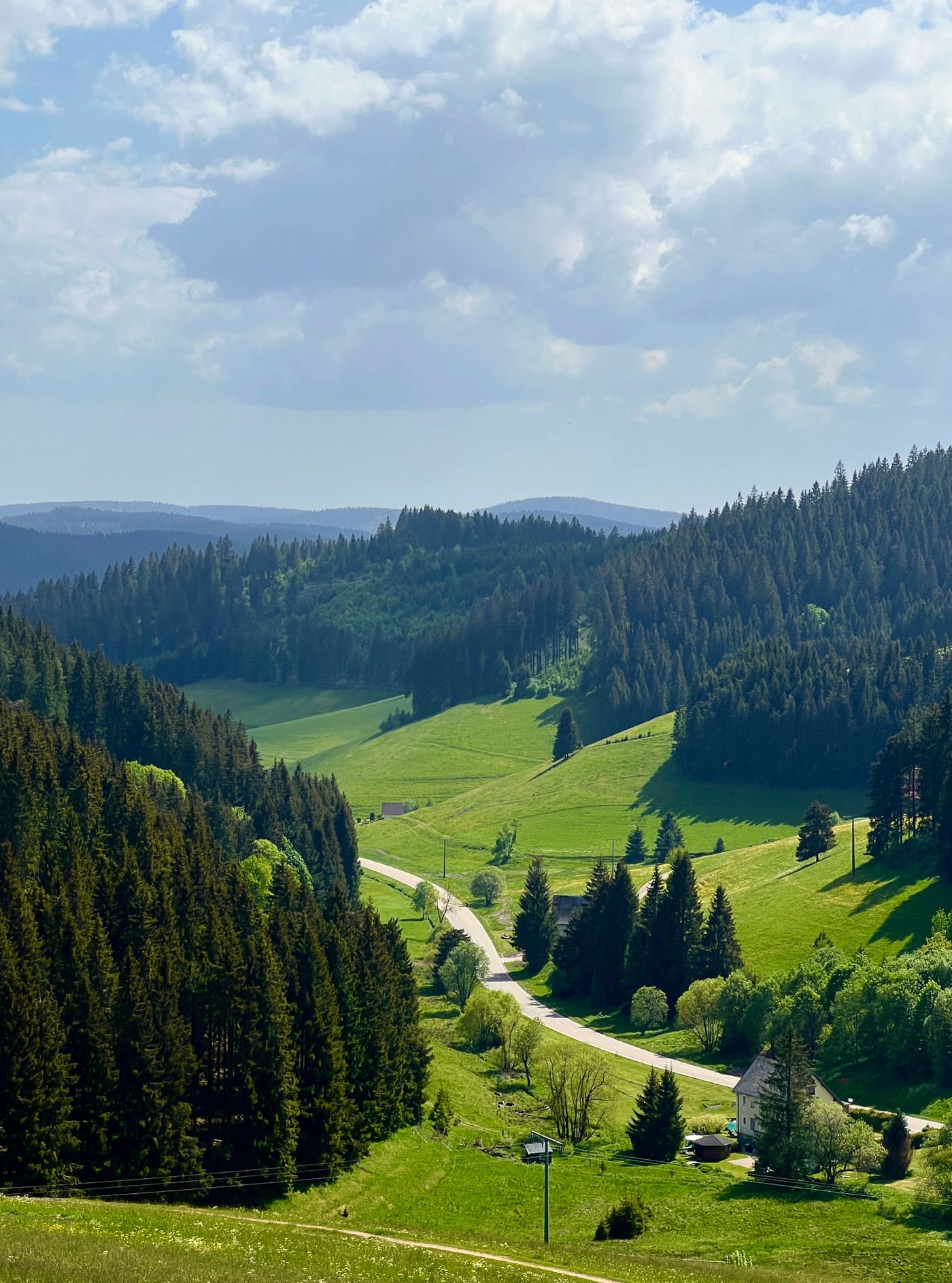 Hügellandschaft des Schwarzwalds (Baden-Württemberg)