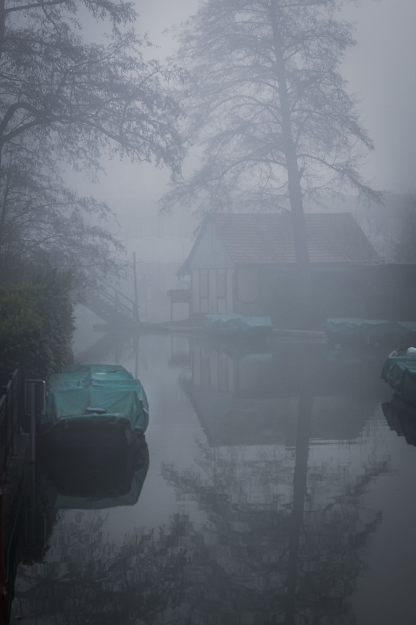 Spreewaldkanal im Morgennebel (Brandenburg)
