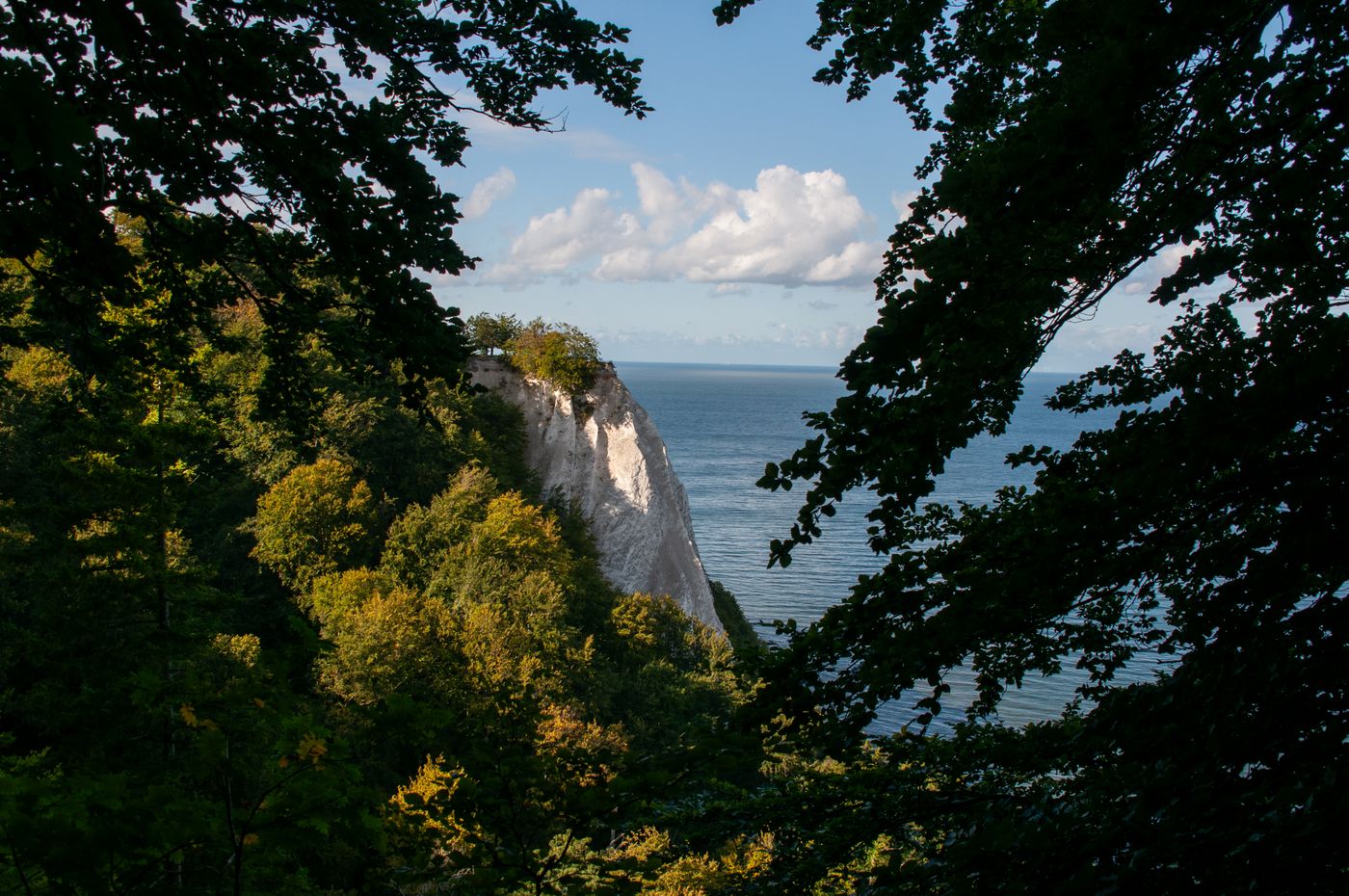 Kreidefelsen auf Rügen (Mecklenburg-Vorpommern)