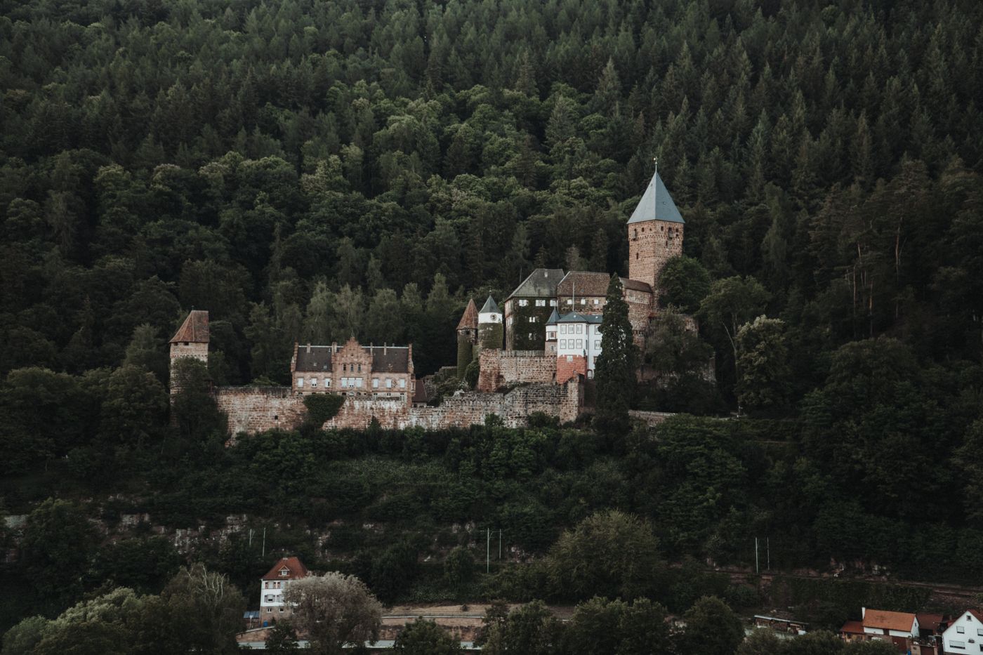 Burg über bewaldeten Hügeln (Thüringen)
