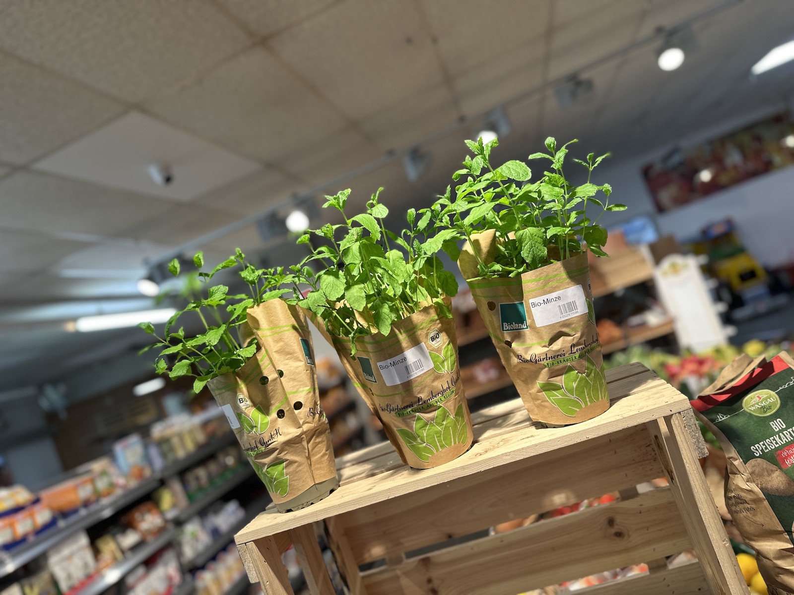 Gang in einem Friedas24 Markt